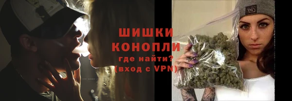 ГАЛЛЮЦИНОГЕННЫЕ ГРИБЫ Надым