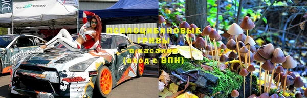 ГАЛЛЮЦИНОГЕННЫЕ ГРИБЫ Надым