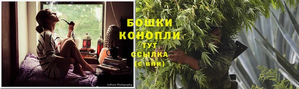 ПСИЛОЦИБИНОВЫЕ ГРИБЫ Нефтегорск